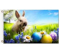 Easter Bunny Rabbit And Easter Eggs On Green Grass With Daisies Flowers Bandiera Dei Pirati 90X150Cm Colorato Banner Personalizzata Bandiera Da Esterno Per Interni Campionato Il Portico