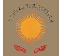 13th Floor Elevators Easter Everywhere (CD)