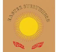 13th Floor Elevators Easter Everywhere (Vinyl LP)