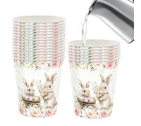 Easter Plates Napkins Set - Bunny Party Tableware for Spring Gathering | Paper Material with Festive Print Design, Disposables Dinner Accessories for Home Kitchen Living Room Farmhouse Holiday Event