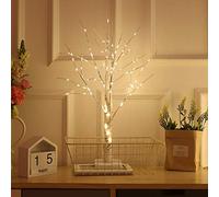 Easter Tree 24in White Birch Tree con Set di 12 Ornamenti di Uova di Pasqua sospeso per la Decorazione della casa di Compleanno per Feste