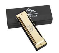 EastRock Armonica diatonica a forma di D, 20 toni, 10 fori, armonica diatonica per studenti, armonica a forma di C, con panno per la pulizia regalo (10 fori, oro)