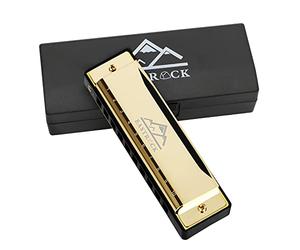 EastRock Armonica diatonica a forma di D, 20 toni, 10 fori, armonica diatonica per studenti, armonica a forma di C, con panno per la pulizia regalo (10 fori, oro)