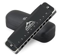 EASTROCK blues armonica a bocca con 10 fori C chiave con custodia, armonica diatonica per giocatori professionisti principianti studenti regali, regalo per amici adulti (nero matt)