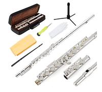 EastRock - Flauti a foro chiuso C 16 chiave per principianti, bambini, studenti, flauto argentato, con supporto e kit di pulizia