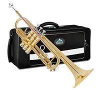 EastRock Set Tromba Oro in Ottone Standard in Sib per Studenti Principianti,Strumento in Ottone con Custodia Rigida,Guanti,Bocchino 7C,Per Principiante,Adulti,Artisti professionisti, Festa(oro)