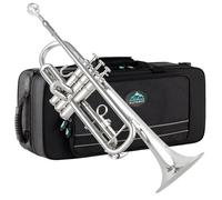 EastRock Set Tromba Placcato in argento,Ottone Standard in Set per Studenti Principianti,Strumento in Ottone con Custodia Rigida,Guanti,Bocchino 7C,Per Adulti,Artisti professionisti(Argento)