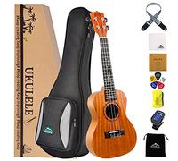 EASTROCK Ukulele concerto 23 Pollici Ukulele professionale in mogano con custodia morbida,Cinghia,sintonizzatore,Set di panno per pulizia,corde in carbonio