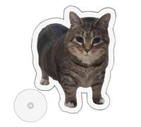Eastuy Ornamento Gatto Spin Acrilico | Ornamenti Gatto Rotante In Acrilico Trasparente 2D,Ornamento Casa Divertente Squisito Creativo Da Collezione - Per La Camera Da Letto E Il Soggiorno