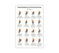 Easy Seated Exercises for Senior Balance - Posture Correction & Stability Workout Chart, Illustrated Home Fitness Guide (Framed,12x18inch(30x45cm))