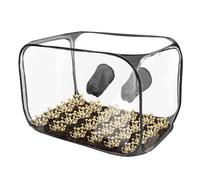 Easy Setup & Clean Still Air Box Esperienza di Coltivazione Funghi Professionale