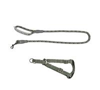 Easy Walk Imbracatura Cane per Piccolo Cani Regolabile Cuccioli Formazione Gilet