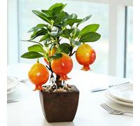 EasyByMall Bonsai di albero da frutto artificiale, pianta finta realistica, decorazione per casa, ufficio, scrivania, mensola, centrotavola in plastica, in stile Kumquat, limone, melograno