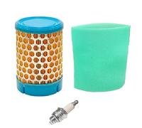EasyByMall Kit di messa a punto motore CH395 - Include filtro aria (sostituisce 1708321S, 1708315S) e Champion RC12YC Spark