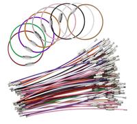 EASYKEENECOM Portachiavi con corda metallica, 60 pezzi, anello portachiavi grande, in acciaio inox, rivestito in nylon, portachiavi colorato per etichette bagagli, torce, guardiano ID Tag, Colori:, 1