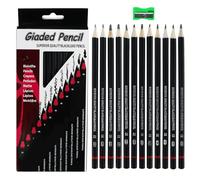 EASYKEENECOM Set di 12 matite da disegno con temperino, matita da disegno da 2H a 8B, set con matite in grafite per artisti, disegni, amanti dello schizzo