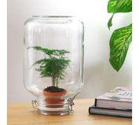 Easyplant - La Viventi Pianta da Camera Di Asparagi,Tu solo una Volta Gießen Müs