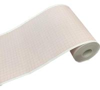 EasyTrace® KIT 10 ROTOLI CARTA TERMICA PER ECG CONTEC 600G, COMEN CM600, I-MEDIK EKG6012 - Formato rotolo: 110MM X 20 Metri [CON11020]