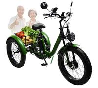 EaThsalL Bicicletta Elettrica A 3 Ruote per Il Trasporto Merci Biciclette con Pneumatici Larghi per Ciclisti da 200 kg, Bici per Adulti Resistenti con Cestino di Grande capacità Green