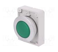 EATON M30C-FL-G Spia