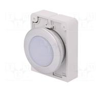 EATON M30C-FL-W Spia