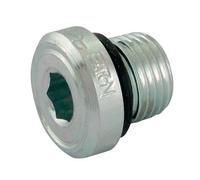 Eaton Walterscheid Filettato Spine,Bspp ,Misura 1/8 " A 1-1/2 " Nitrile Sigillo