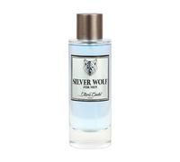 Diane Castel Silver Wolf Eau de Parfum 100ml For Men