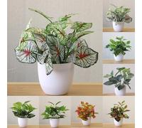 Eawfgtuw Bonsai artificiale in vaso, pianta grassa realistica in plastica, in vaso da fiori retrò pastorale per davanzale, scrivania, libreria, tavolino o (C)