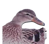 Eawfgtuw Decorazione pensata per insieme al giardino per anatra durevole resistente alle intemperie configurazione doppia per ornamento ideale tra cui realistico per cortile prato figura acrilico (C)