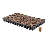 EAZY PLUG VASSOIO 77 CUBI GERMINAZIONE TALEE CUBETTI IN TORBA PER SEMINA E TALEE
