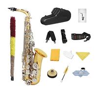 EB Alto Sassofono In Ottone In Ottone In Ottone In Ottone E-flat In Ottone In Ottone Sax Con Accessori Per Cassa Kit principianti sax (Color : Gold Silver Sax)