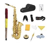 EB Alto Sassofono In Ottone In Ottone In Ottone In Ottone E-flat In Ottone In Ottone Sax Con Accessori Per Cassa Kit principianti sax (Color : Golden Sax)