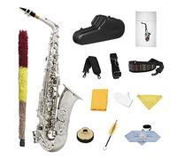 EB Alto Sassofono In Ottone In Ottone In Ottone In Ottone E-flat In Ottone In Ottone Sax Con Accessori Per Cassa Kit principianti sax (Color : Silver Sax)