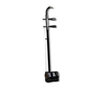 Ebano Erhu Adatto A Professionisti Principianti E Preparazione Agli Esami Ensemble Erhu