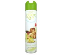 Ebano, Profumatore per ambienti e tessuti, Deodorante al Limone e Zenzero, Formula senza acqua, Bombola, Formato 400 ml