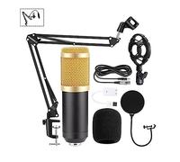 EBAYTV Kit Scheda Audio, BM800 V10XPro Mixer Scheda audio Studio Mixer audio Canto Riduzione del rumore Microfono Voce Trasmissione in diretta Telefono Registrazione computer(BM800 Gold Set)