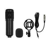 EBAYTV Kit Scheda Audio, BM800 V10XPro Mixer Scheda audio Studio Mixer audio Canto Riduzione del rumore Microfono Voce Trasmissione in diretta Telefono Registrazione computer(BM800 Black)