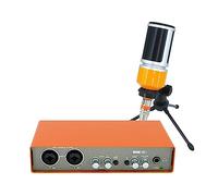 EBAYTV Kit Scheda Audio, Microfono Interfaccia audio Scheda audio di registrazione Mixer for chitarra elettrica Sito di studio for console di missaggio professionale(1 set)