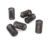 EBC - Kit molla frizione rinforzata