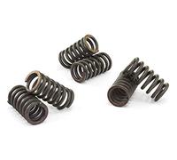 CSK034 KIT MOLLE FRIZIONE RINFORZATE EBC SACHS HERCULES XTC 125 SUPERSPORT 2003