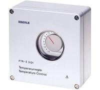 Eberle Controls 191 5701 59 900 Eberle FTR-E 3121 - White - IP65 - -20 - 35 °C
