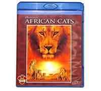 EBOND African Cats ( non contiene E-Copy) BLURAY - BluRay