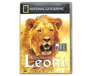 EBOND Camminando Con i Leoni - National Geographic Vol.5 DVD