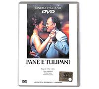 EBOND Pane e tulipani EDITORIALE DVD