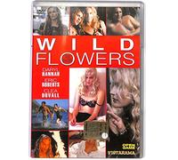 EBOND Wild Flowers Fiore Bruciato DVD EDITORIALE DVD