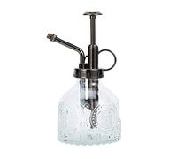Ebristar Bottiglia spray per piante in vetro, altezza 16,5 cm, annaffiatoio vintage per piante grasse con pompa superiore, spruzzatore per piante piccole per interni ed esterni, trasparente