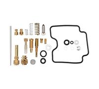 Bombardi Ds 650 Vergaser - Kit Di Riparazione Per La Ricostruzione Del Carburatore 25 Pezzi Kit Di Riparazione Del Carburatore Per Moto Sostituzione Per Can Am Bombardier