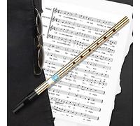 EBTOOLS Chiave del Flauto Fischio Irlandese di D - 6 Buchi Strumento a Fiato per Principianti, Intermedi Ed Esperti - per Stili Musicali (Chiave di d)