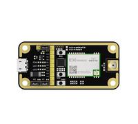 EBYTE Kit di valutazione dello sviluppo della scheda di prova 868MHz 915MHz per interfaccia USB E30-900M20S E30-900MBL-01