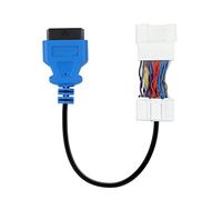 ECAROBUST Adattatore OBD2 per veicoli Tesla (2012-2021) - Connettore da 22 pin a 16 pin